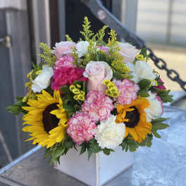 Mixed bouquet with sunflowers, pink roses, and carnations in a white box