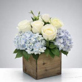 White roses and pale blue hydrangeas in a wooden box