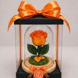Forever Rose – Orange (Height: 6.69 ")
