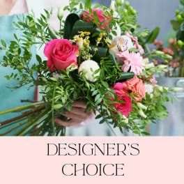 Designer's Choice