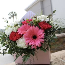 Pink gerbera daisies and red carnations in a pink box