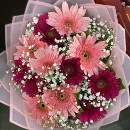 Pink and magenta gerbera daisy bouquet with baby's breath in pink wrap