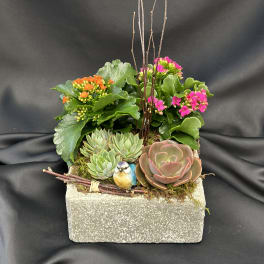 Succulent planter with pink and orange blooms in a rectangular stone container