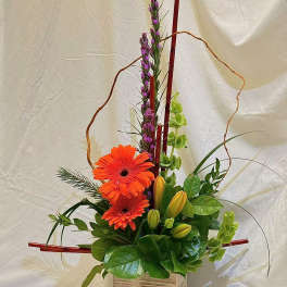 Orange gerbera daisies in a wooden box with purple spikes and green buds