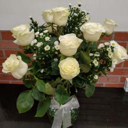 Beautiful White Rose's