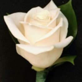 Classic White Rose Boutonniere