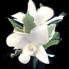 Classy White Orchid Boutonniere