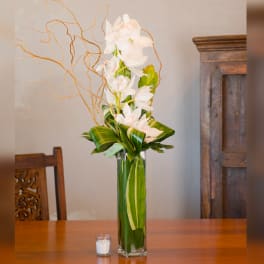 Tall white orchid arrangement in a glass vase with curly branches