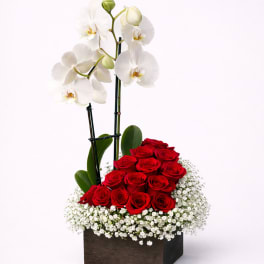 Red roses and white orchids arranged in a dark square box