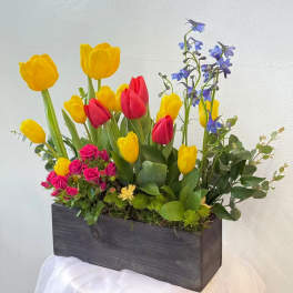 Spring Tulip Wooden Box Arrangement
