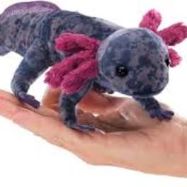 Small plush axolotl toy resting on a hand