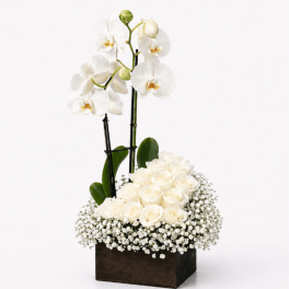 White orchids and roses arranged in a square wooden container