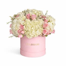 Pink roses and white hydrangeas in a pink round box