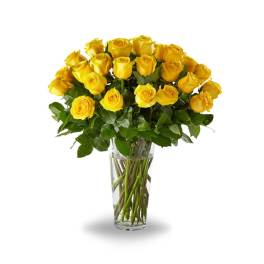 Yellow Roses