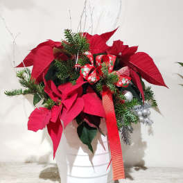 Potted poinsettia arrangement with red ribbon and silver ornaments