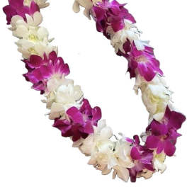 Purple and white orchid lei on a white background