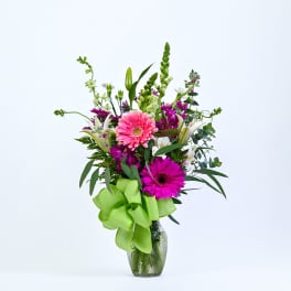 Pink and magenta gerbera bouquet in a glass vase with a green ribbon