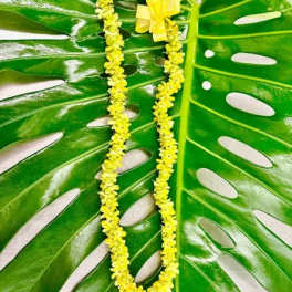 Yellow flower lei on a large green tropical leaf