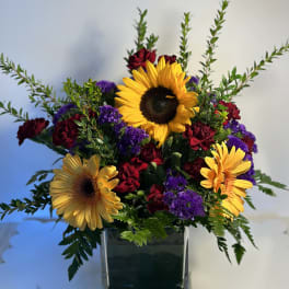 sunflower Gerbera Daisies