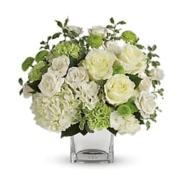 White roses and green pompons in a clear square vase