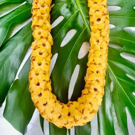 Yellow flower lei on large green leaves