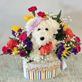 Playful dog-shaped bouquet of white carnations with colorful mixed flowers in a striped container.