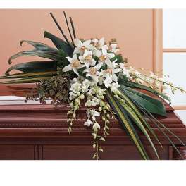 White orchid arrangement on a casket with long green leaves