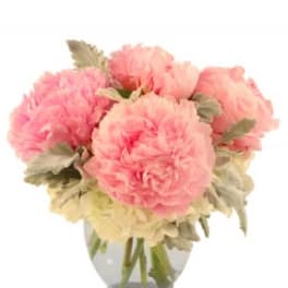 Pink peonies in a clear glass vase
