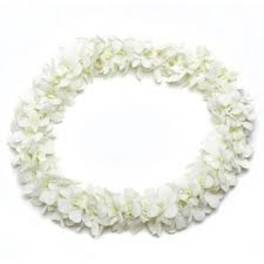WHITE Carnation Lei