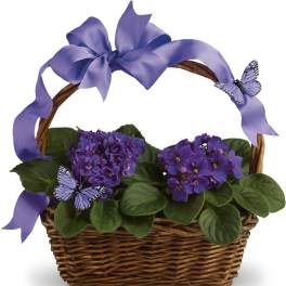Purple flowering plant in a wicker basket with a lavender ribbon and butterfly accents