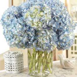 Blue Hydrangea Bouquet