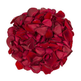 Round cluster of red rose petals on a white background