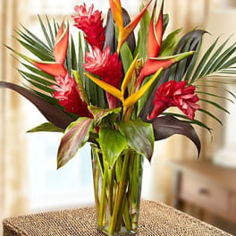 Tropical Arrangement in a vase