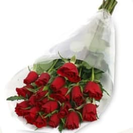 Wrapped bouquet of long-stem red roses in clear plastic