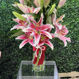 Blushing Stargazer Lily Bouquet