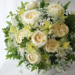 Cream roses and white flowers arranged in a white vase