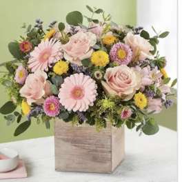 Pink roses and daisies in a wooden box arrangement