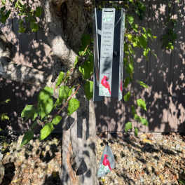 Cardinal memorial wind chime hanging from a tree