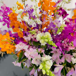 Bright bouquet of purple, orange, pink, and white flowers