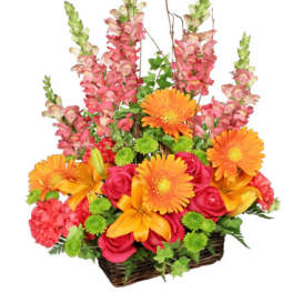 Basket arrangement with orange gerberas, pink roses, and tall pink snapdragons