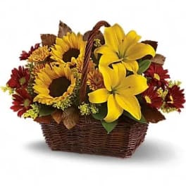 Basket arrangement with yellow lilies, sunflowers, and red mums in a brown wicker basket