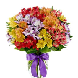 Mixed alstroemeria bouquet in a clear vase with a purple ribbon bow