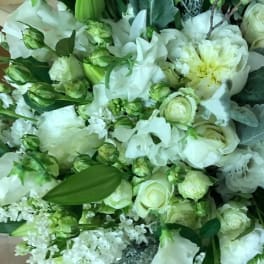 Elegant Whites