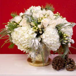 Winter Romance