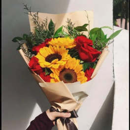 Sunflower Beauty