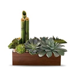 Succulent arrangement in a wooden box with bamboo stalks