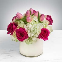 Pink tulips and magenta roses in a white vase