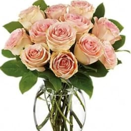 Delicate Dozen