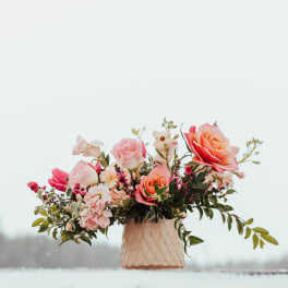 Low peach and pink rose arrangement in a textured cream ceramic pot against a snowy background