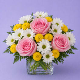 Sweet Blush Daisy – Pink Rose & Sunny Mum Arrangement